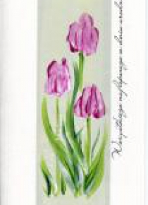 Karnet Urodziny DL U05 - Tulipany