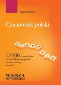 Czasownik polski