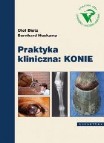 Praktyka kliniczna: Konie