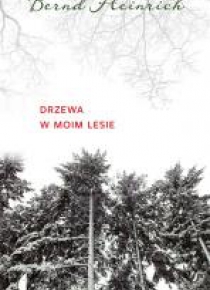 Drzewa w moim lesie