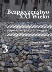 Bezpieczeństwo XXI Wieku